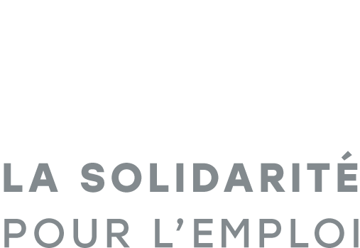 logo DEFI - ELAN -I.C.I solidarité pour l'emploi